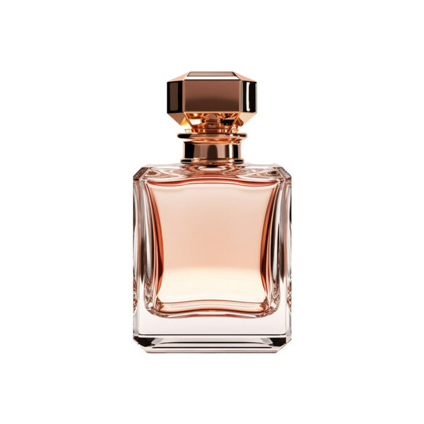 Celestial Glow Oil Cleanser Daily Hydration