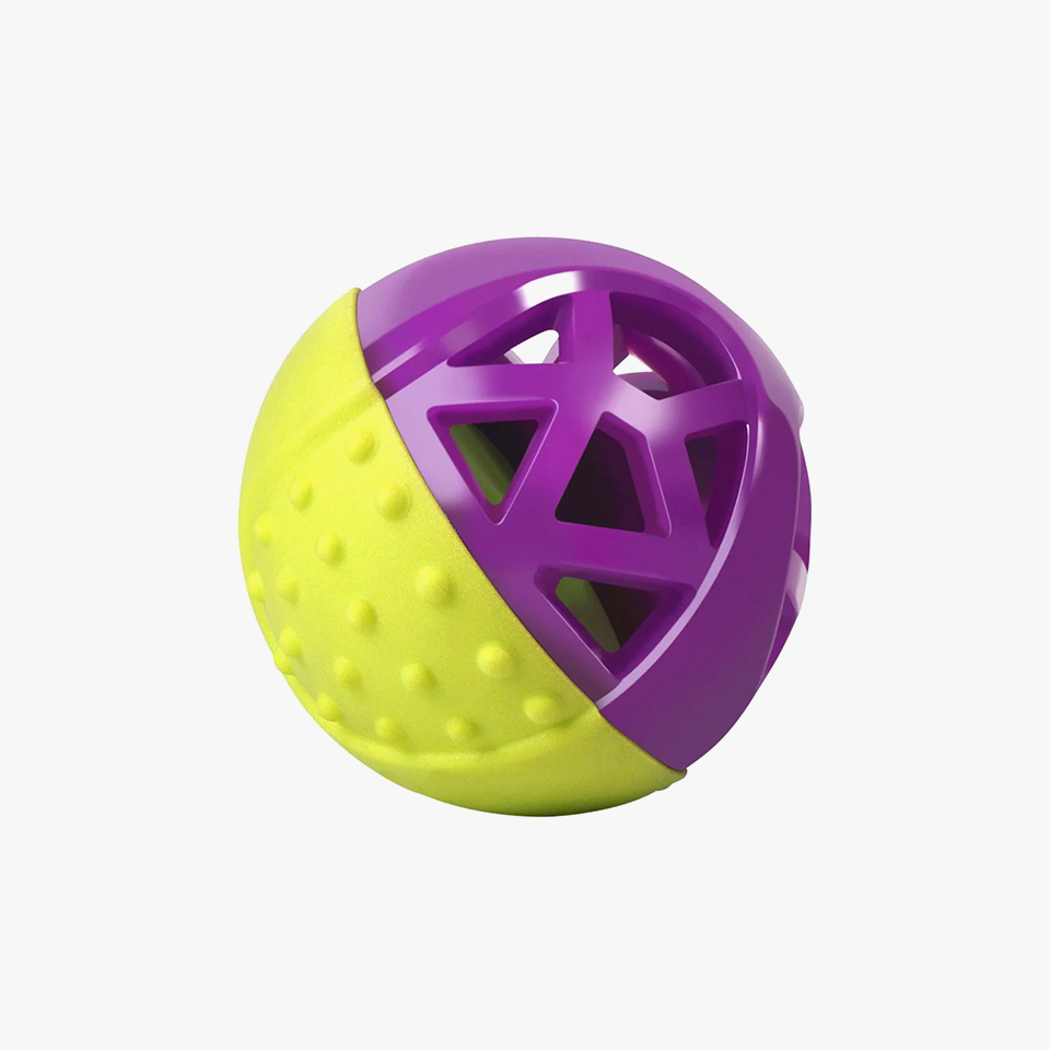 Dual Color Interactive Squeaking Ball - Fluffy Paws Pets