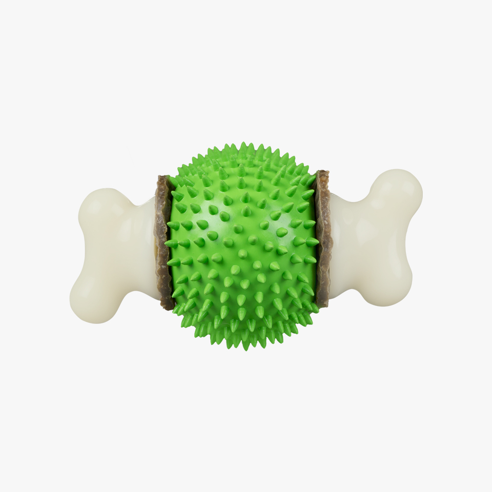 Ring Holding Dog Toy - Ball, Medium - Premier Pet