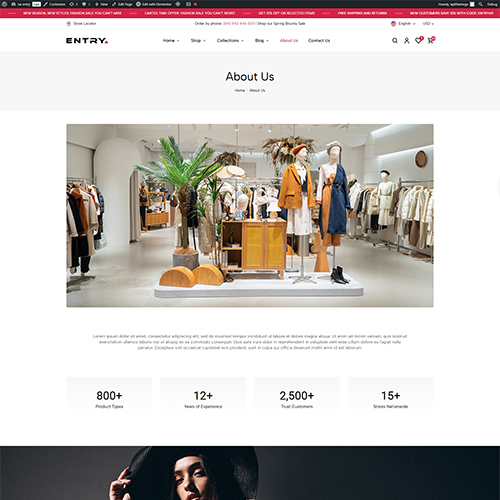 Other_1 - Entry | Multipurpose Woocommerce Wordpress Theme| WPThemeGo