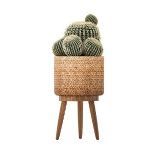 Rattan Cactus Pot