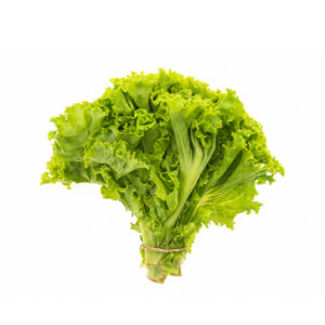 Organic Lettuce Leaf 500g