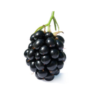 Organic Blackberry 250g
