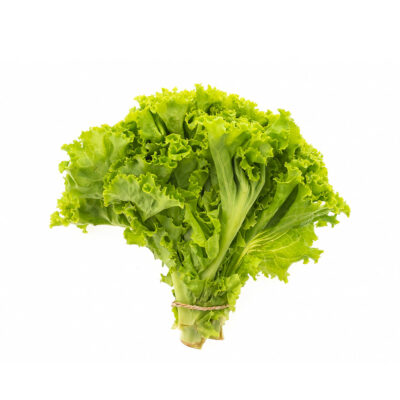 Organic Lettuce Leaf 500g