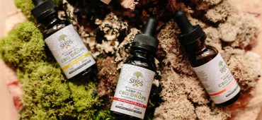 Beatae vitae dicta sunt explicabo