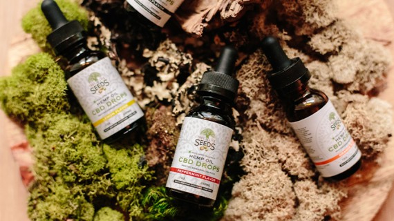 Beatae vitae dicta sunt explicabo