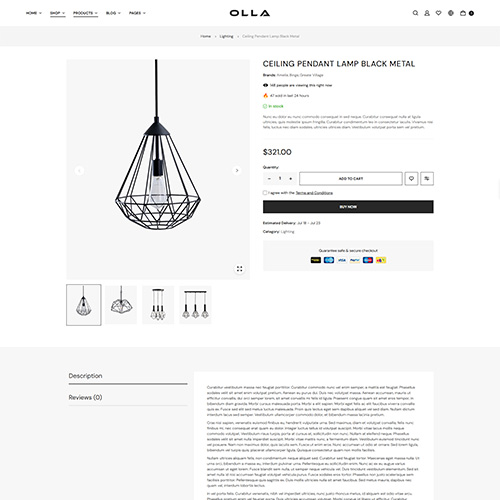 Single Product Default - Olla | Multipurpose Woocommerce Wordpress Theme| WPThemeGo