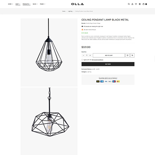 Single Product Style1 - Olla | Multipurpose Woocommerce Wordpress Theme| WPThemeGo