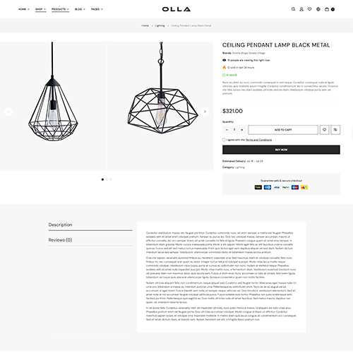 Single Product Style2 - Olla | Multipurpose Woocommerce Wordpress Theme| WPThemeGo