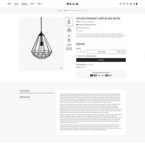 Single Product Thumbnail Right - Olla | Multipurpose Woocommerce Wordpress Theme| WPThemeGo