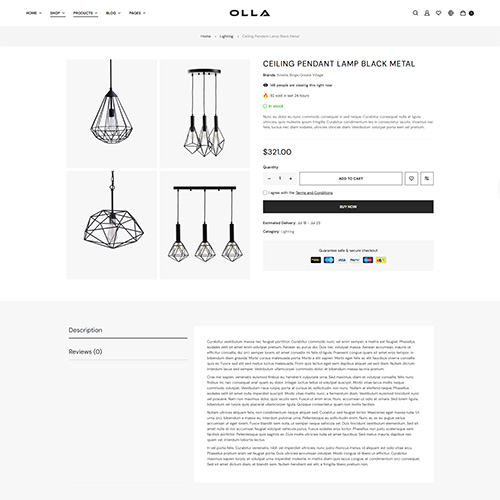 Single Product Style3 - Olla | Multipurpose Woocommerce Wordpress Theme| WPThemeGo