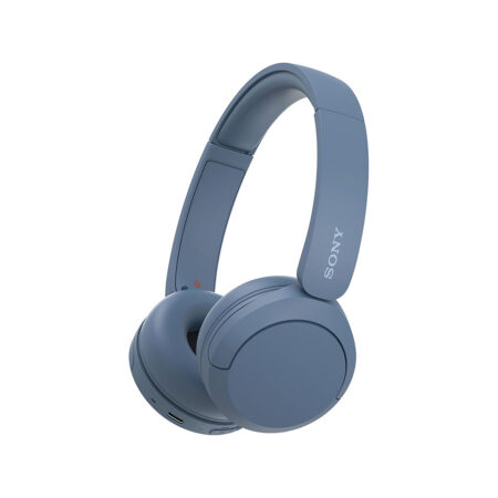 Samsung R14 Bluetooth Wireless Headphones