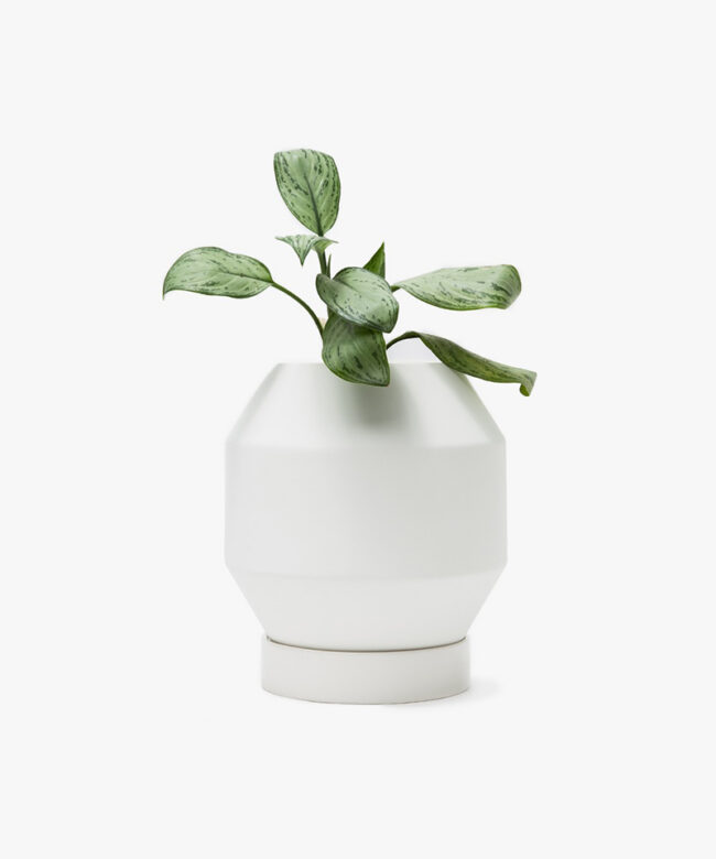 Enameled Ceramic Plant Pot