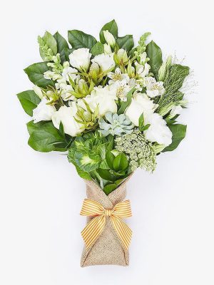 eu ultrices ex tortor quis veli