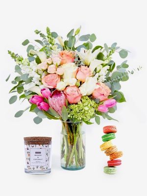 Ut sollicitudin gravida tellu