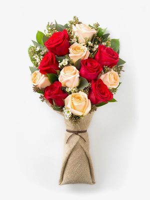 Nunc imperdiet sed erat vel