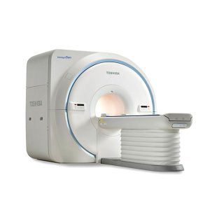 viverra posuere mattis